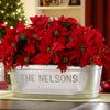 Personalized Galvanized Family Tub or Tub with Stand